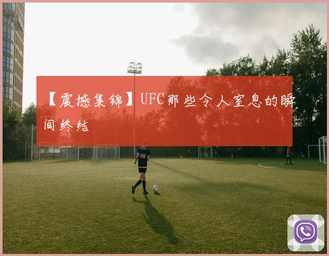 【震撼集锦】UFC那些令人窒息的瞬间终结
