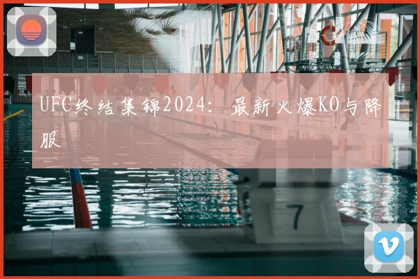 UFC终结集锦2024：最新火爆KO与降服