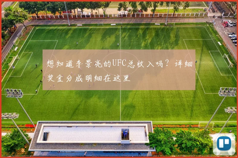 想知道李景亮的UFC总收入吗?详细奖金分成明细在这里