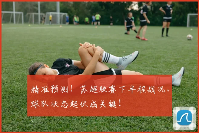 精准预测!苏超联赛下半程战况,球队状态起伏成关键!