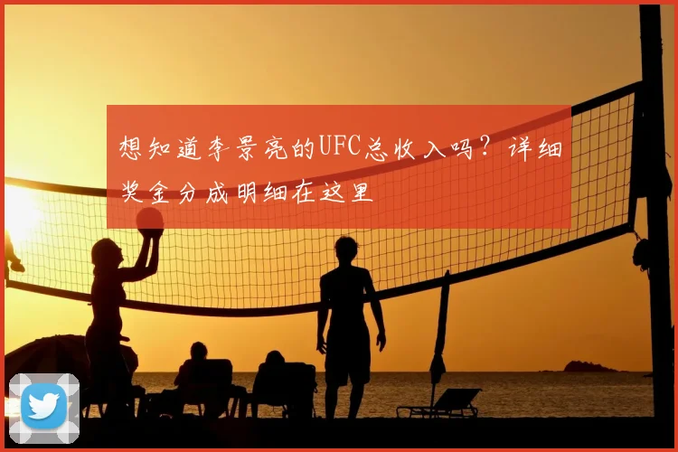 想知道李景亮的UFC总收入吗?详细奖金分成明细在这里