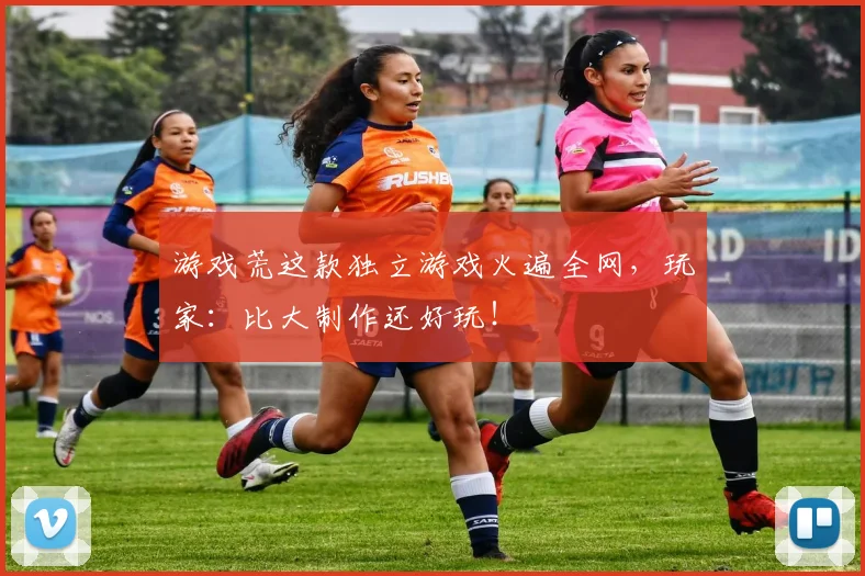 游戏荒这款独立游戏火遍全网,玩家:比大制作还好玩!