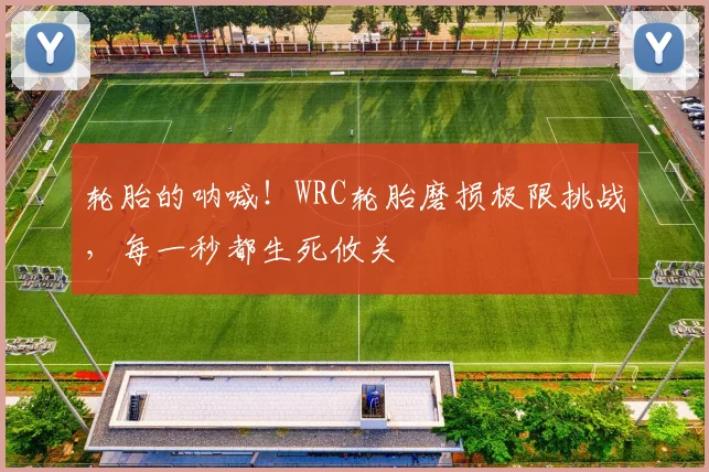 轮胎的呐喊!WRC轮胎磨损极限挑战,每一秒都生死攸关
