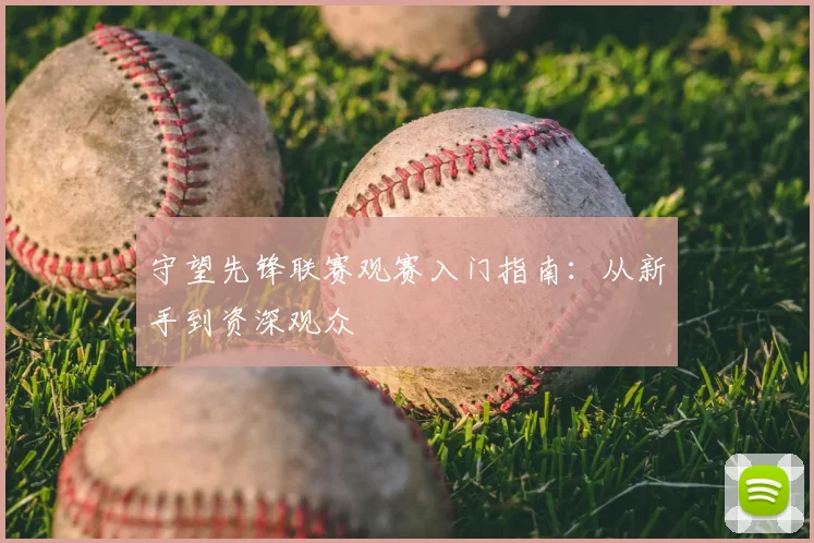 守望先锋联赛观赛入门指南:从新手到资深观众