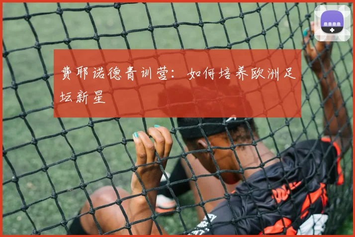 费耶诺德青训营：如何培养欧洲足坛新星