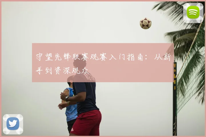 守望先锋联赛观赛入门指南：从新手到资深观众